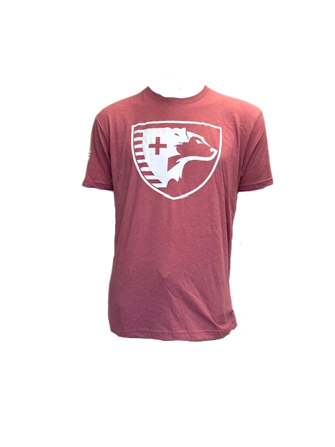 LIMITED EDITION Breast Cancer Awareness Pink Shirt